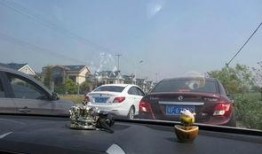 娱乐吃瓜718车友会,娱乐吃瓜，畅享速度与激情